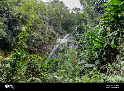 Saint Vincent And The Grenadines Dark View Falls Waterfall Stock Photo