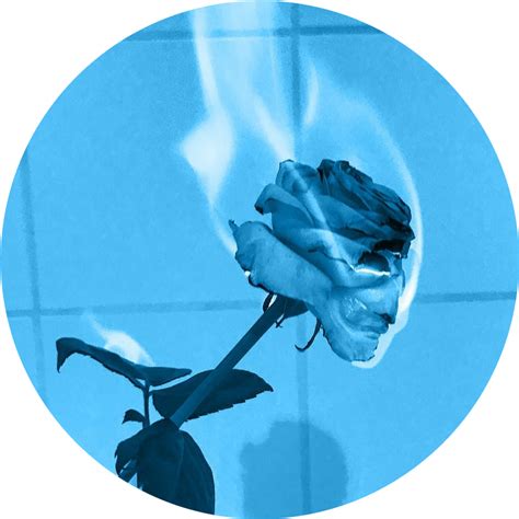 Check spelling or type a new query. flower blue fire aesthetic - Sticker by Takaochi