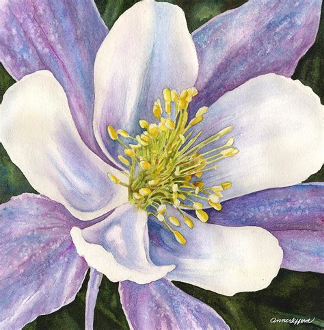 Columbine Closeup Painting By Anne Ford Fine Art America
