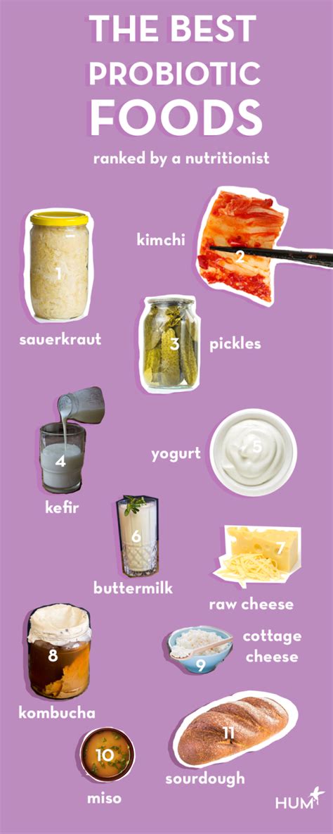 printable list of probiotic foods