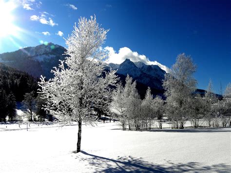 Banco De Imagens Neve Inverno Céu árvore Natureza Paisagem