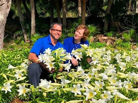 Bermuda Easter Lilies Set To Reach Windsor Palace Today Bermuda Real