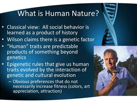 Ppt Epigenetics And Culture Powerpoint Presentation Free Download