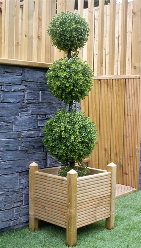 Pair Of Triple Ball Boxwood Buxus Topiary Trees 120cm 4ft The