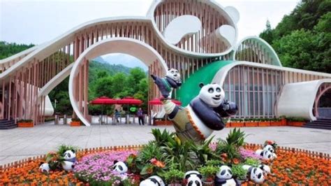 Brief Introduction Of Dujiangyan Panda Valley