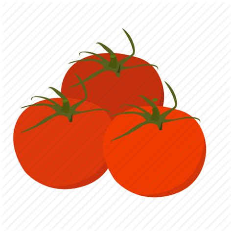 Tomato Icon 23377 Free Icons Library