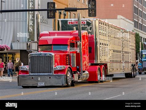 A 2015 Peterbilt 389 With A Wilson Cattle Trailer Participates In The