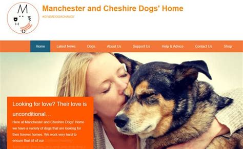 Cheshire Dogs Home Warrington Pet Rescue And Animal Welfare Groups