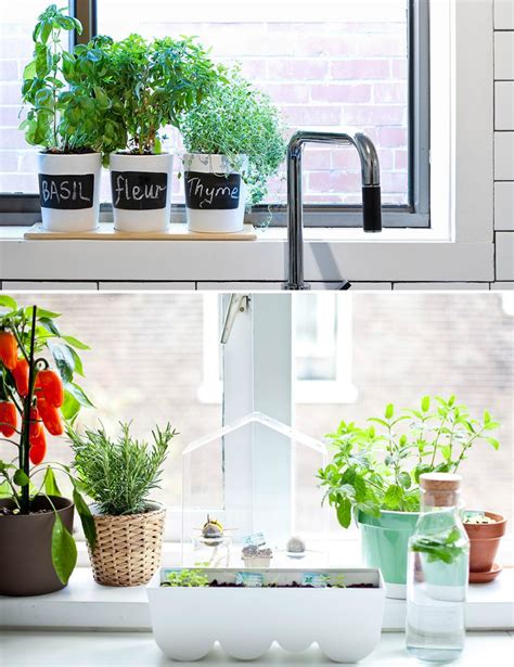 Herbs On Windowsill Herb Garden Pots Herb Garden In Kitchen Kitchen