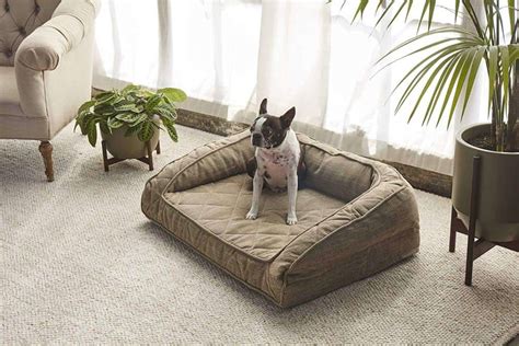 The Best Orthopedic Dog Bed For Your Arthritic Dogs