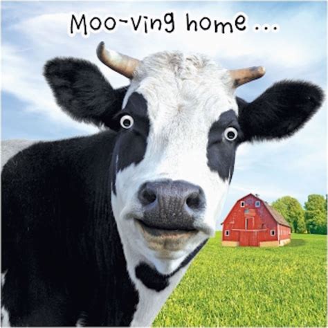 Cow Happy Birthday Meme Gogglies 3d Moving Eyes Funny Cow Moo Ving House Card 1stp Birthdaybuzz