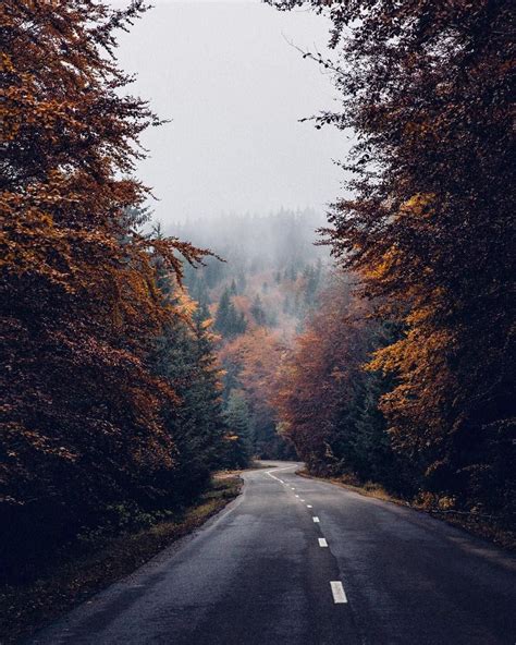 Instagram Image Nature Photography Landscape Autumn Aesthetic