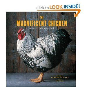 Amazon The Magnificent Chicken Portraits Of The Fairest Fowl
