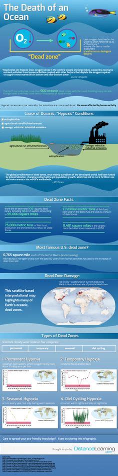 8 Ocean Infographics Ideas Ocean Infographic Ocean Conservation