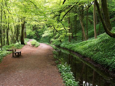 Skipton Castle Woods All You Need To Know Before You Go