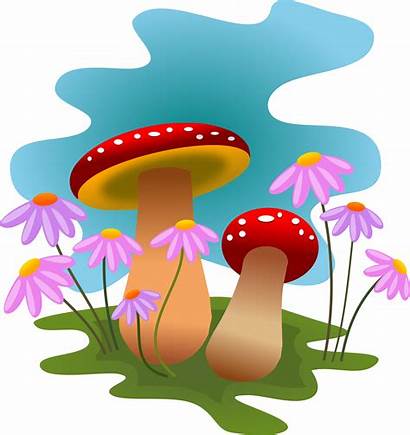 Mushrooms Clipart Clip Flowers Fungi Forest Everyday