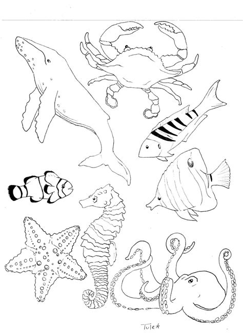 Ocean Life Coloring Book Page Coloring Books Sea Life Ocean Life