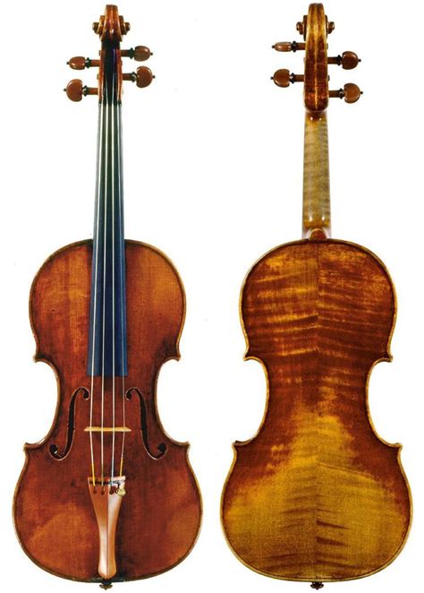 Pin By Paul Oconnor On Bridge Violin Learn Violin Violin Pics