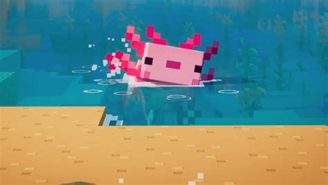 Todo Lo Que Debes Saber Sobre Axolotls Ajolote Minecraft En 2021