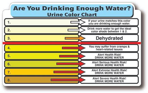 Urine Color Chart Hydration High Quality Waterproof Gloss Uv Decal