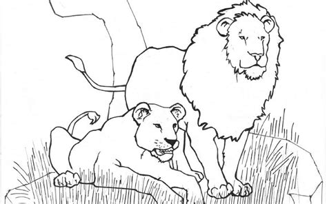Coloring Pages For Kids Pitara Kids Network