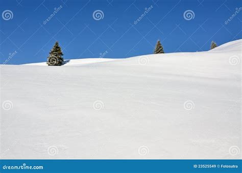 Three Fir Trees On Snowy Hills Stock Image Image Of Europe Frost