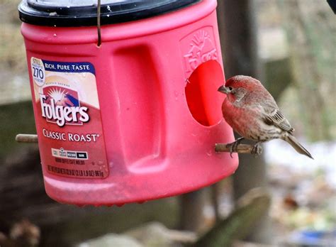 angelgirlpj coffee  bird feeder diy recycle  reuse