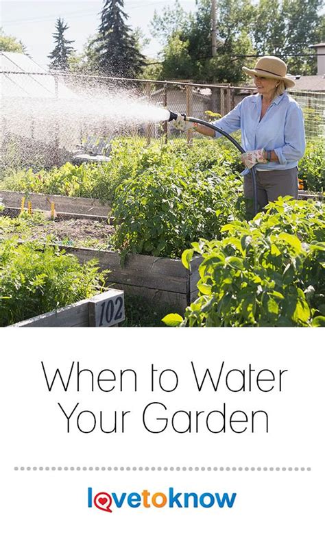 Knowing When You Should Water Your Garden Is Vital And Can Mean The