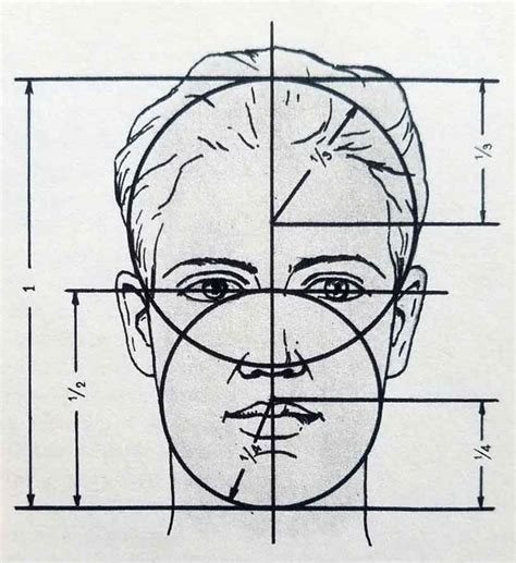 proportions du visage apprendre la peinture avec elena kuznetsova proportions du visage