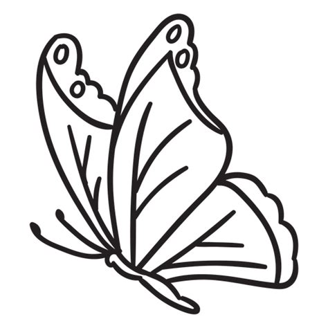 Free Svg Side View Butterfly Silhouette Svg Png Eps Dxf File Free Svg