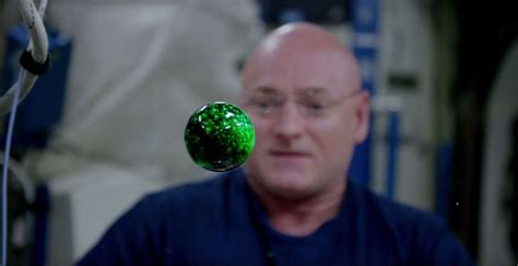 Scott Kelly Plays With Bubbles In A Way Only A Nasa Astronaut Can