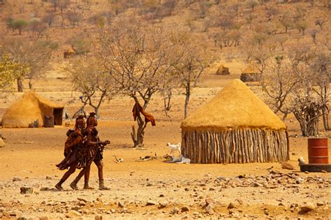 Photo Libre De Droit De Himba Et Les Femmes Dans Leur