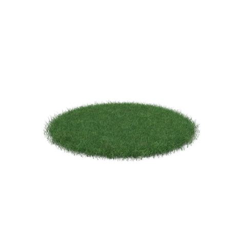 Grass Patch Png Images And Psds For Download Pixelsquid S11153254b