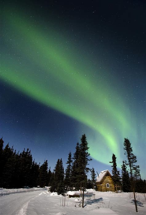 Aurora Borealis In Alaska Photograph By Chris Madeley