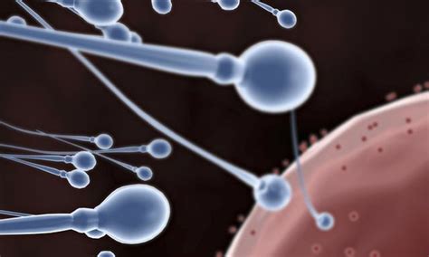 Scientists Find Human Skin Cells Can Be Transformed Into Artificial Sperm