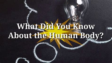 Knowing About The Human Bodydid You Know That Youtube