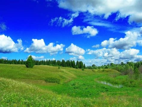Meadow Stock Image Image Of Landscape Clouds Plant 14056851