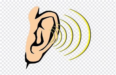 Hearing Art Hearing Sound Sense Human Body Cartoon Ear Cartoon