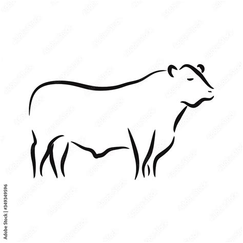 Illustration Silhouette Angus Cattle Animal Logo Vector Design Stock