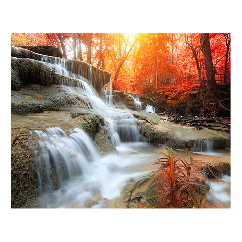 Autumn Waterfall Wall Mural Brewster Home Fashions Touch Of Modern
