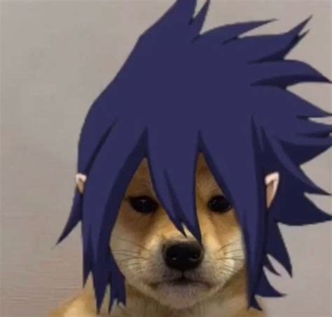 Pin By Kookbolacha🦀 On Anime Wallpapers In 2020 Anime Meme Face Dog