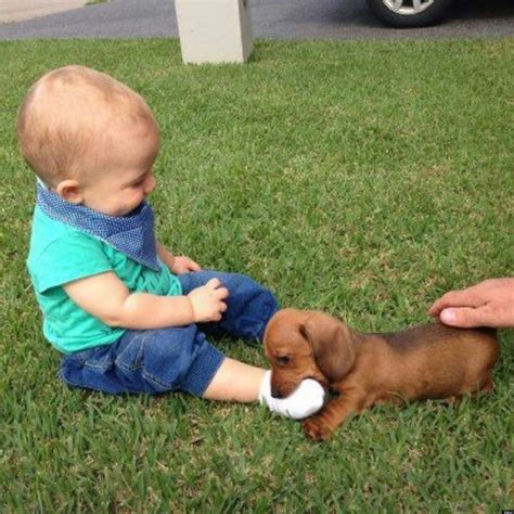 Puppy And Baby Photo May Be The Best Thing You See All Day Huffpost