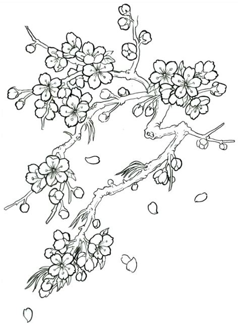 Pngtree provides millions of free png, vectors. Cherry Blossom Tree Drawing Step By Step at GetDrawings ...