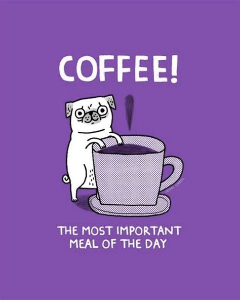 Funny Pictures 46 Pics Funny Coffee Quotes Coffee Quotes Coffee Humor