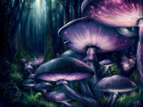 39 Mushroom Forest Wallpaper