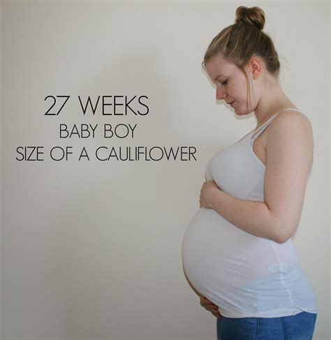 27 Week Pregnancy Update Baby 2 Emily And Indiana