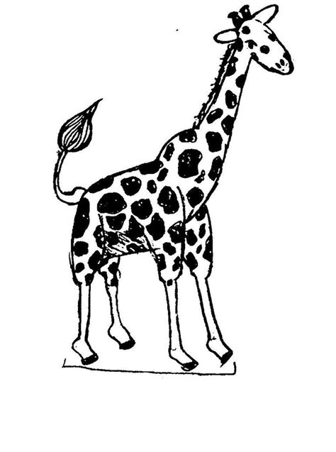 Giraffe Coloring Pages For Kids