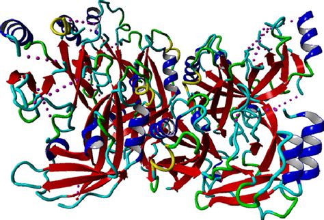 The Crystal Structure Of The Viral Matrix Protein Vp40 Protein
