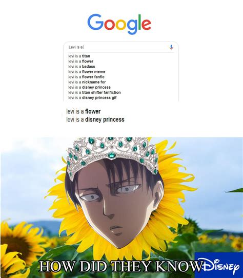 All Hail Levi The Princess R Animemes