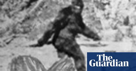 Quiz Can You Spot The Mythical Creatures Animals The Guardian